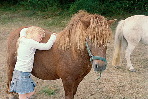 女孩,搂抱,马