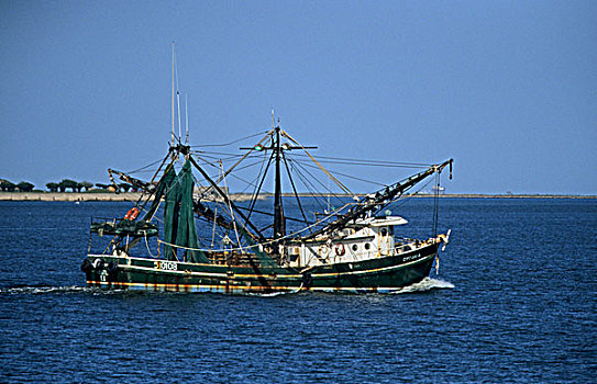 渔业,鱼船,德克萨斯,海岸,靠近,加尔维斯顿,美国