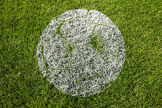 足球,象征,草地