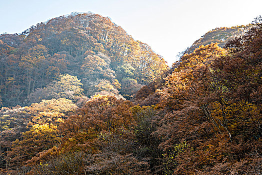 光雾山