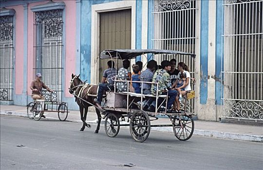 马,马车,自行车,普通,运输,古巴