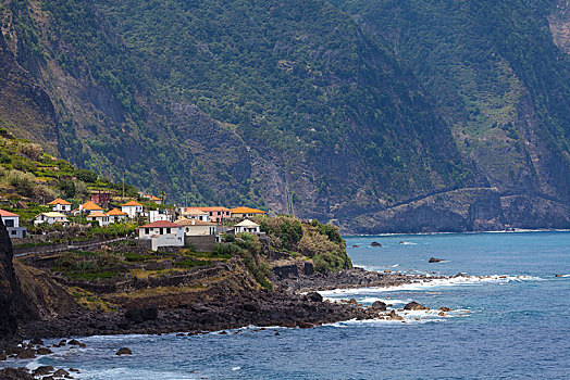 风景,悬崖,海岸,马德拉岛,靠近,葡萄牙,欧洲