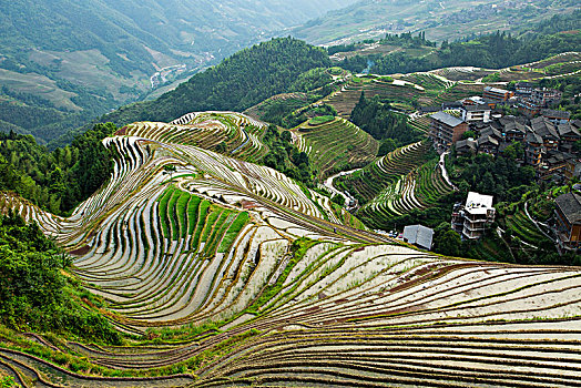 灌水梯田