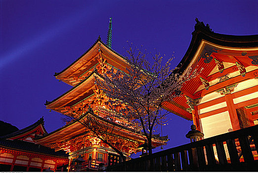 清水寺,夜晚,京都,日本