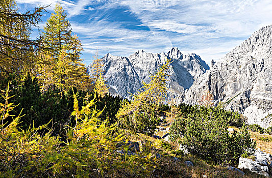 国家公园,风景,山,德国,十月,大幅,尺寸