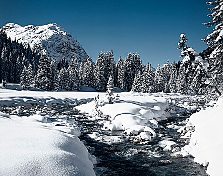 冬季风景,溪流,阿勒堡,奥地利