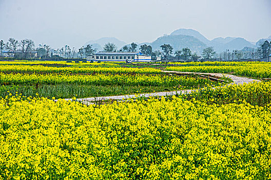 田园春色