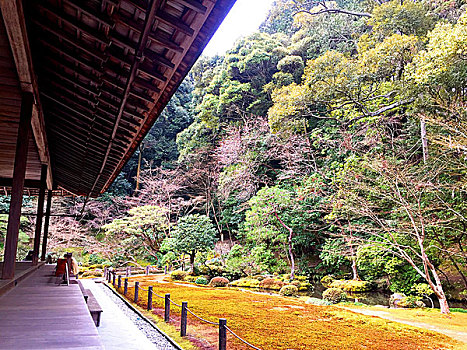 日本京都南禅寺庭院