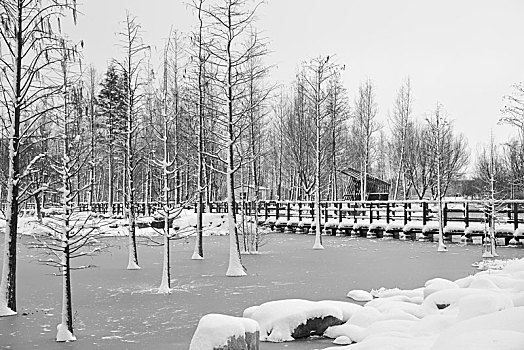 雪景