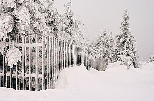 冬天,围栏