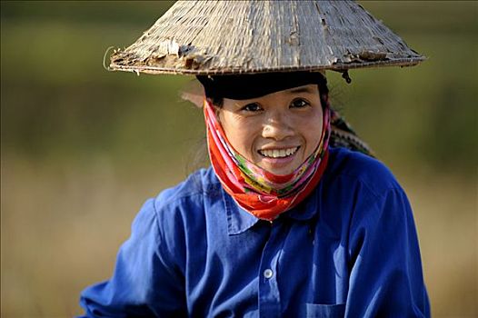 微笑,越南,成年,女人,芦苇,帽子,稻田,河内,北越,东南亚