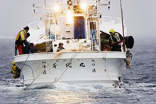 捕鱼者,工作,根室海峡,北海道,日本
