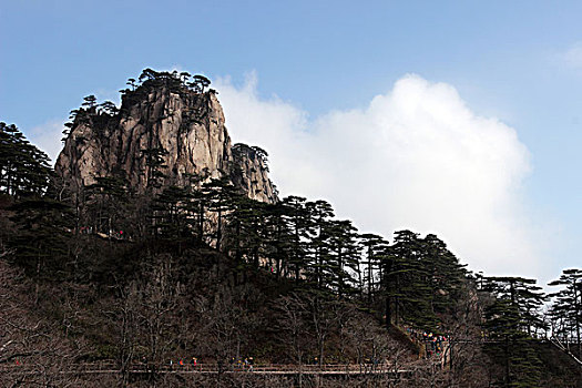 黄山,奇石,云海,壮观,名胜,风景,0221