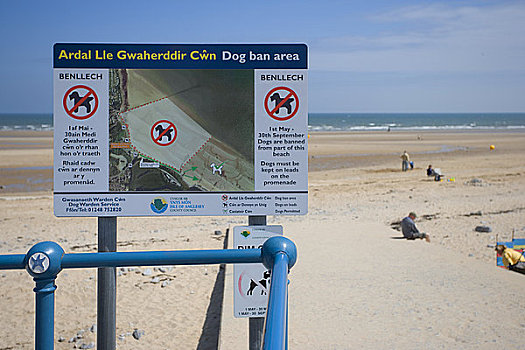 北威尔士,狗,标识,海滨地区,沙,一个,漂亮,海滩,胜者,欧洲,蓝色,旗帜,奖,2004年