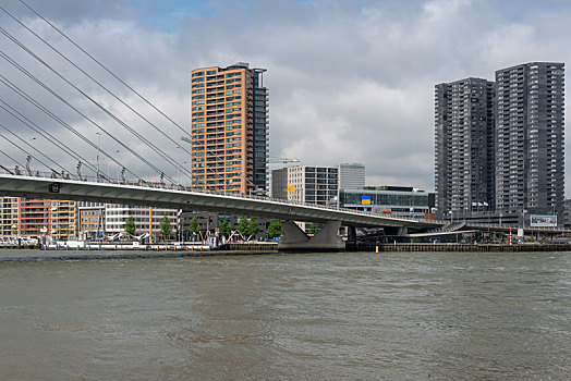 荷兰鹿特丹的桥和高楼大厦