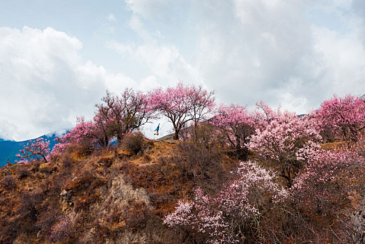 林芝,景色