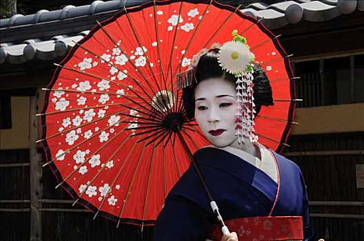 鸾舞伎,受训人员,艺伎,红色,太阳,伞,京都,日本,亚洲