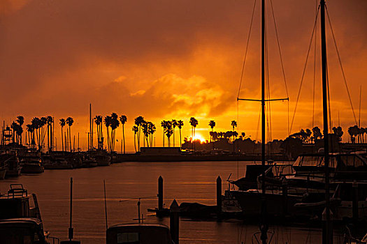 手掌,夕阳,帆船,圣地亚哥,加利福尼亚
