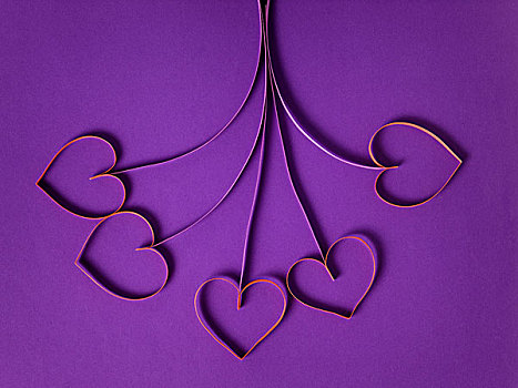 纸,花,心形,紫色背景,情人节