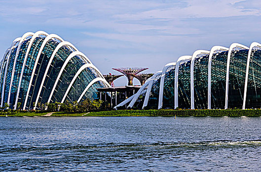 码头,花园,湾,植物,建筑,新加坡,印度尼西亚,亚洲