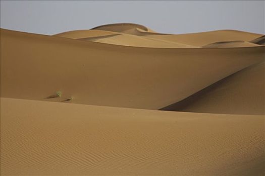 沙,沙丘,却比沙丘,摩洛哥
