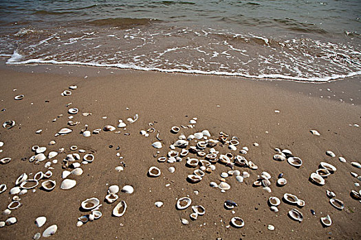 北戴河,大海,海滨,游客,建筑,沙滩,平静,贝壳