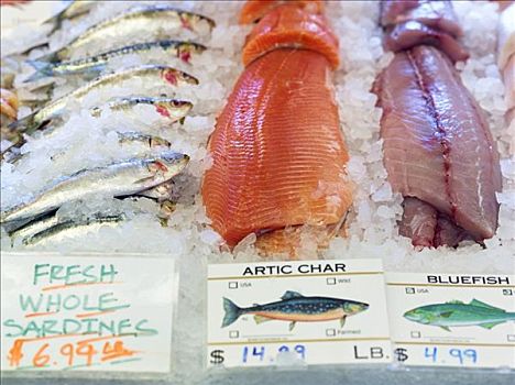 沙丁鱼,红点鲑,冰,海鲜,市场