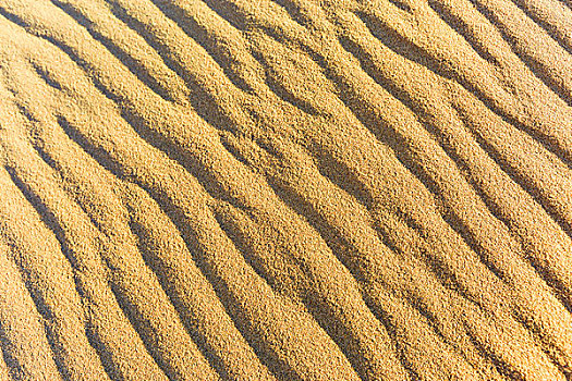 波纹状,沙子,纳米布沙漠,纳米比亚,非洲