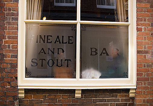 英格兰,汉普郡,温彻斯特,酒吧,窗户,标识,说话,淡啤酒,黑啤酒,酒馆,英国,乡村,社区