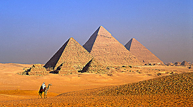 吉萨金字塔,骆驼