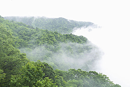 安徽金寨大别山马鬃岭国家自然保护区风光