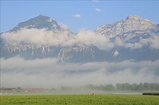 雾,山峦,奥地利