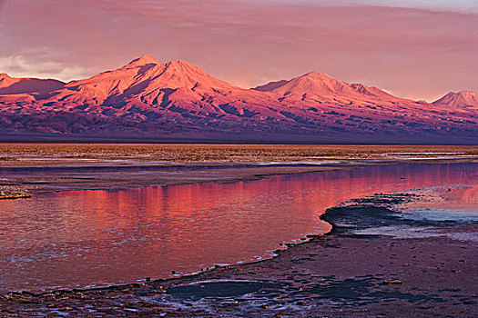 日落,上方,盐,湖,盐湖,阿塔卡马沙漠,智利