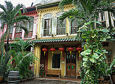 住宅,山,新加坡