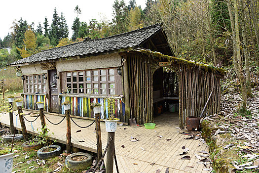 农村森林木屋