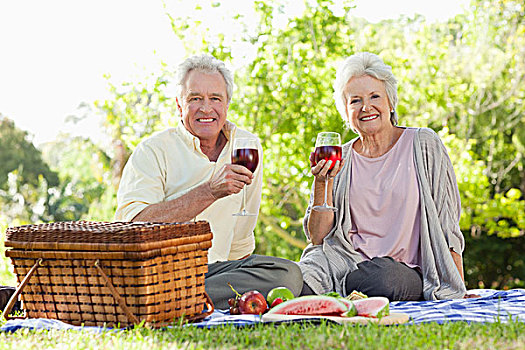 伴侣,拿着,葡萄酒杯,野餐