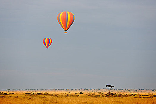 热,空气,气球,高处,马萨伊,早晨,肯尼亚,东非,非洲