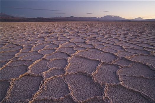 干燥,盐湖,日落,阿塔卡马沙漠,智利