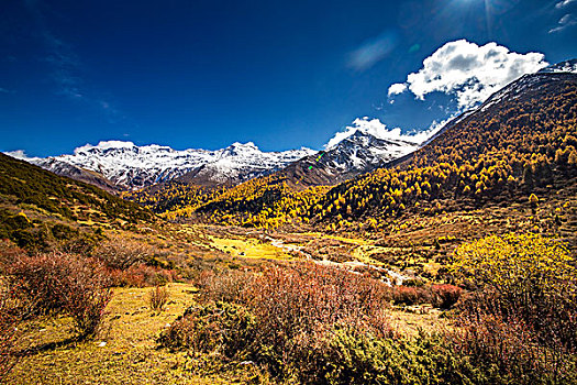 金秋四姑娘山高原风景