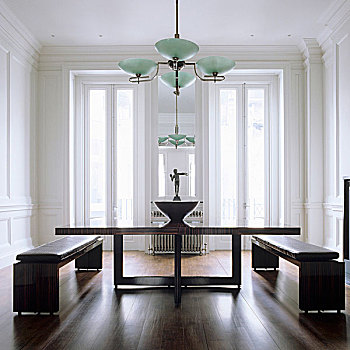 餐桌,木框,长椅,皮革,垫子,优雅,客厅,艺术,吊灯