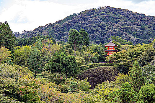 日本山林中的寺庙