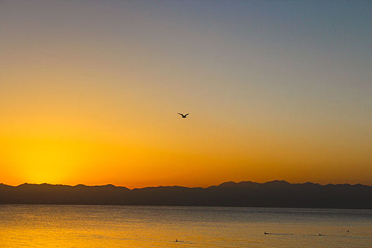 青海湖