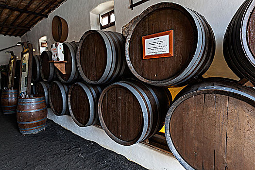 葡萄酒桶,葡萄酒厂,酒用葡萄种植区,兰索罗特岛,加纳利群岛,西班牙,欧洲