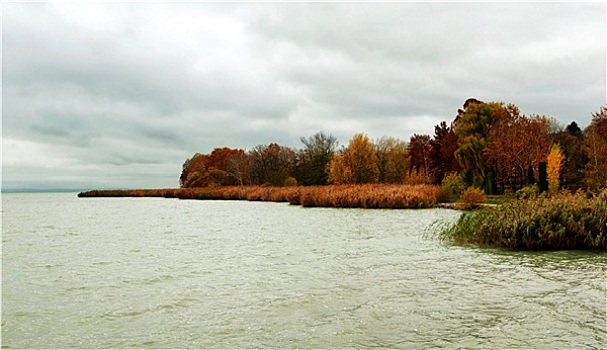 风景,秋天,巴拉顿湖,匈牙利