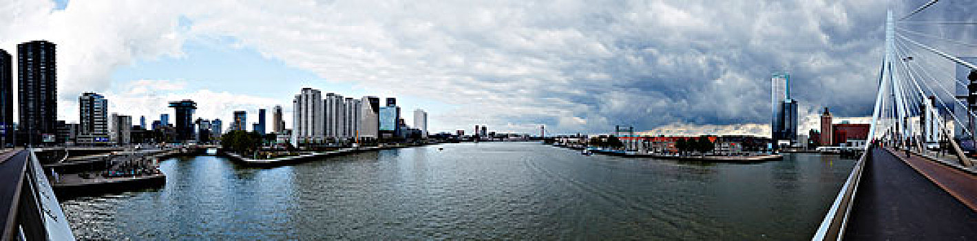鹿特丹,天际线,城市,水,现代建筑,桥