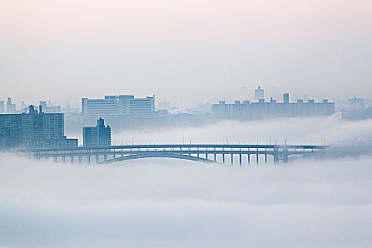 雾,桥,纽约