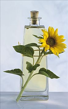 瓶子,葵花油,向日葵