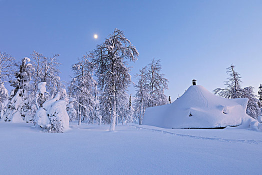 特色,木头,木房子,室内,国家公园,拉普兰,芬兰