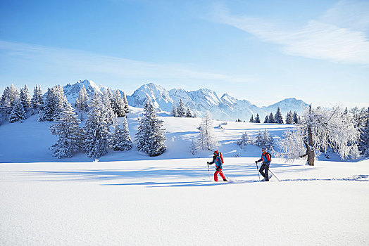 雪鞋,远足,冬天,风景,提洛尔,奥地利,欧洲
