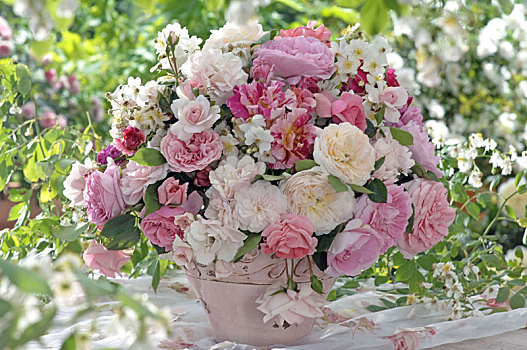 玫瑰花束,涂绘,玫瑰,条纹,淡粉色